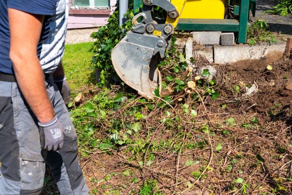 Hedge Removal Service in Vallejo