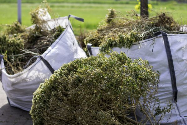 Shrubs Removal in Vallejo