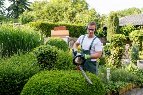 Shrubs Trimming in Vallejo