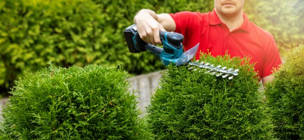 Hedge Shaping Service in Vallejo
