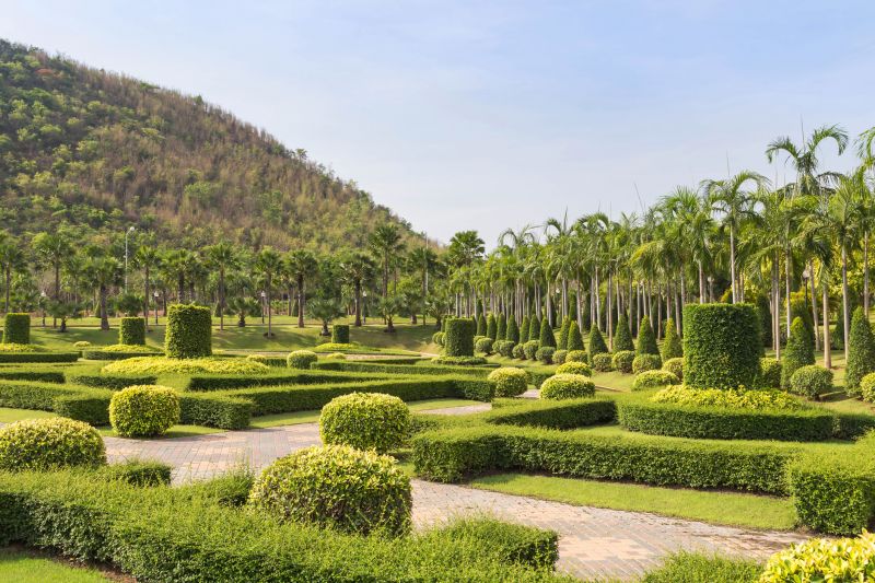 Trimming in a Residential Yard