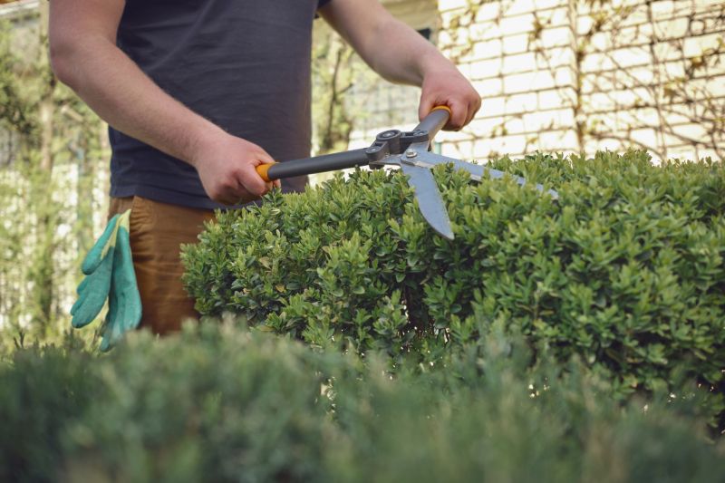 Detailed Shrub Pruning
